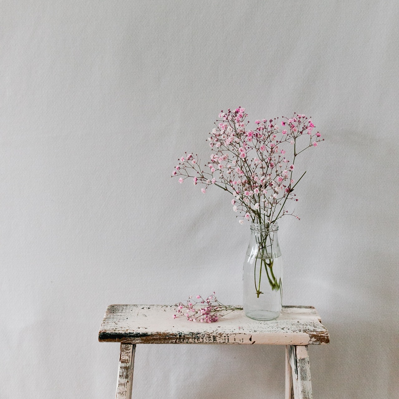 une plante verte dans un vase sur une table en bois