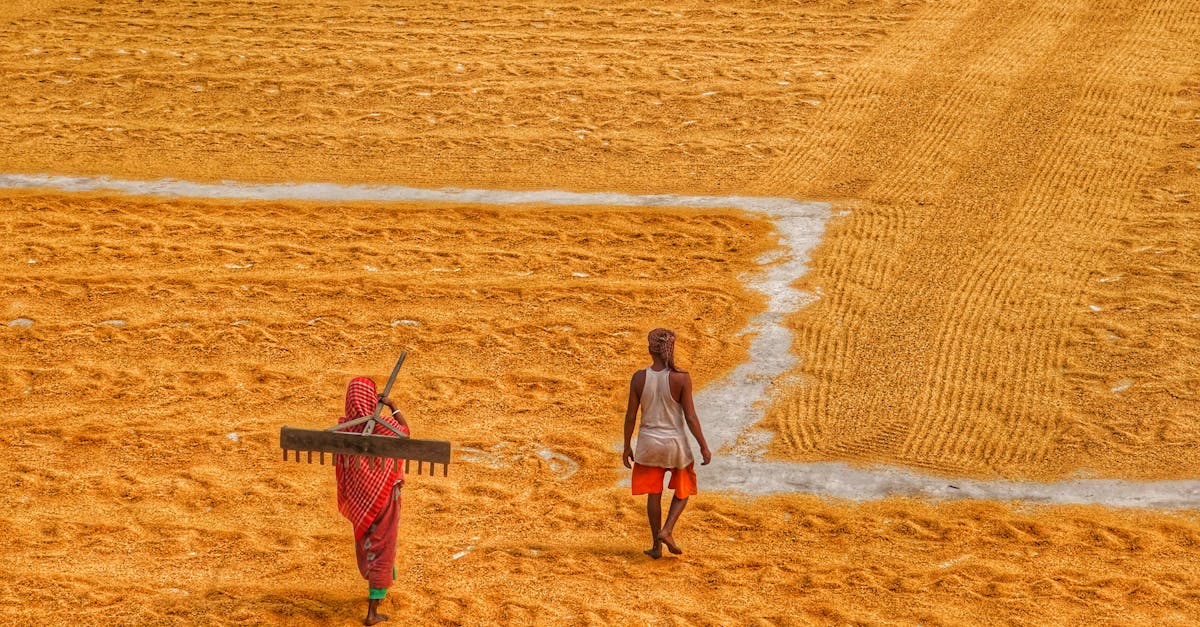 découvrez les avis et témoignages de nos clients pour mieux connaître la qualité de nos produits et services.