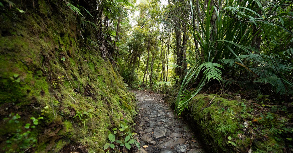 découvrez les nouveautés ligne roset 2026 : design contemporain, innovations et mobilier d'exception pour sublimer votre intérieur.