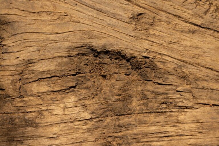 Table de ferme ancienne : 7 vérifications avant de chiner la bonne pièce